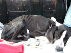 skinny black and white female kamares