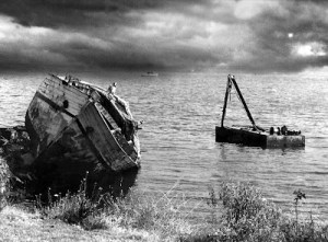 399142_237481526356781_1546761108_n