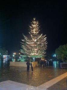 556934_4562572536643_1329885601_n