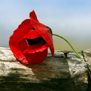 ÓÔÉÃÌÉÏÔÕÐÁ ÐÑÙÔÏÌÁÃÉÁÓ ÓÔÇÍ ÁÈÇÍÁ (EUROKINISSI/ÔÁÔÉÁÍÁ ÌÐÏËÁÑÇ)