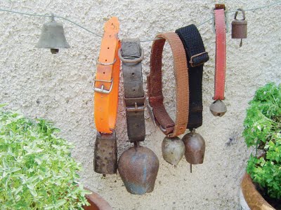 assets_LARGE_t_11761_26139536