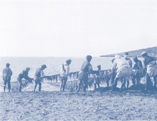 assets_LARGE_t_11762_53962412