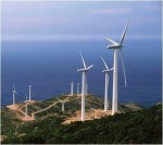 anemogenitries_foto_1