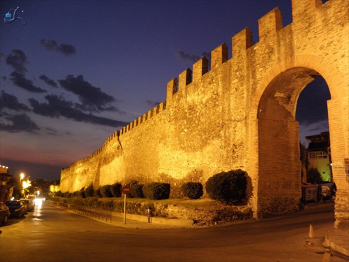 anemogennitries_foto_1