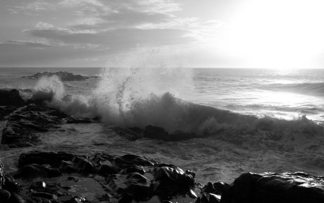 Black and White Wallpapers 3